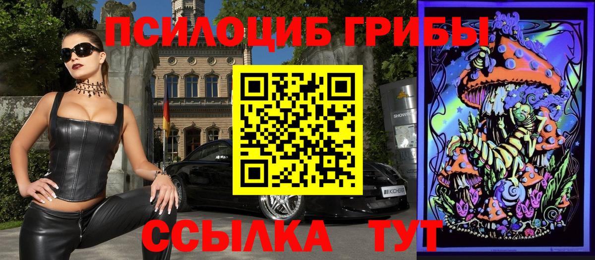 Торжок  Псилоцибиновые грибы мухоморы  Галлюциногенные грибы Psilocybe  как найти наркотики  Вход с VPN 